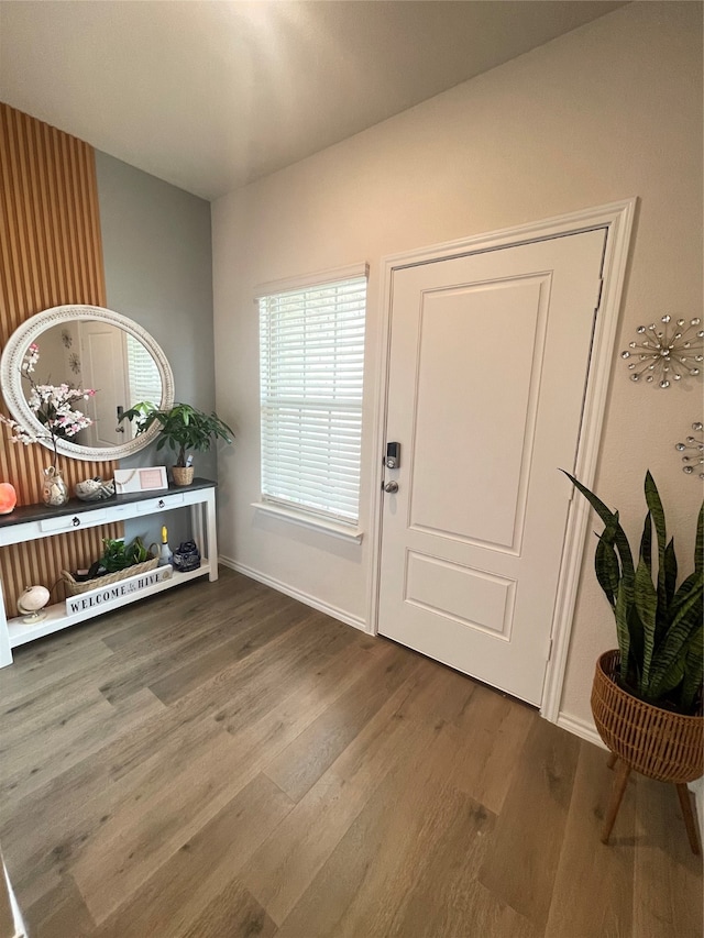 foyer entrance featuring hardwood / wood-style floors