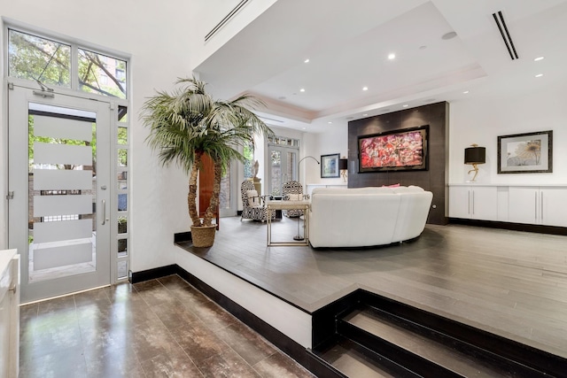 entrance foyer featuring a tray ceiling and dark wood-type flooring