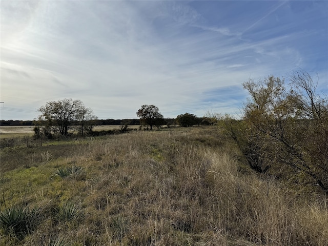 Listing photo 3 for TBD-A Fm 1655, Chico TX 76431