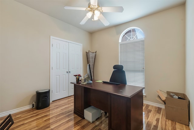 office space featuring light hardwood / wood-style flooring and ceiling fan