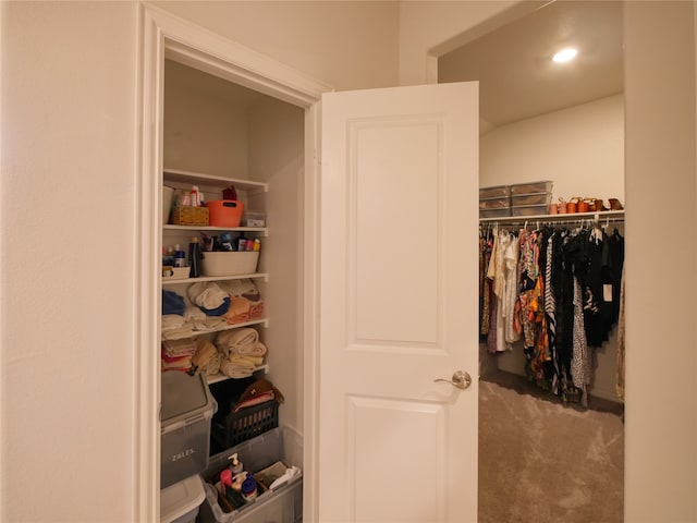 view of closet