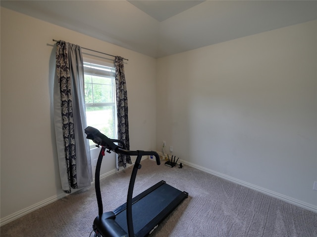 exercise room featuring carpet floors