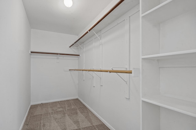 spacious closet featuring light carpet