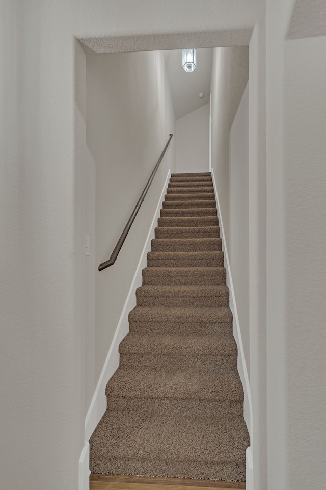 staircase featuring carpet