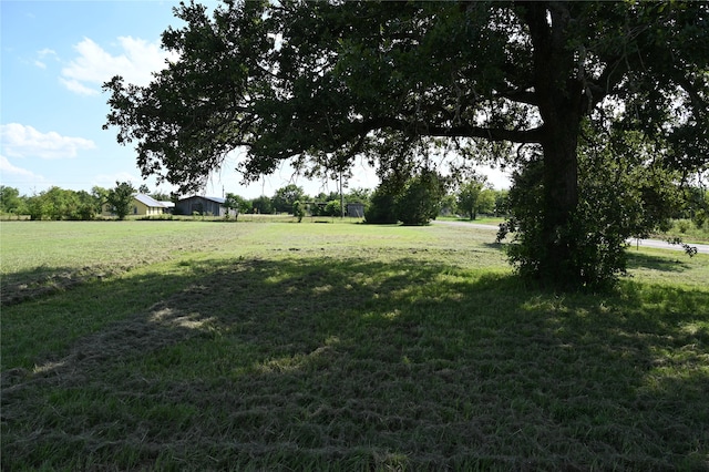 view of yard featuring a rural view