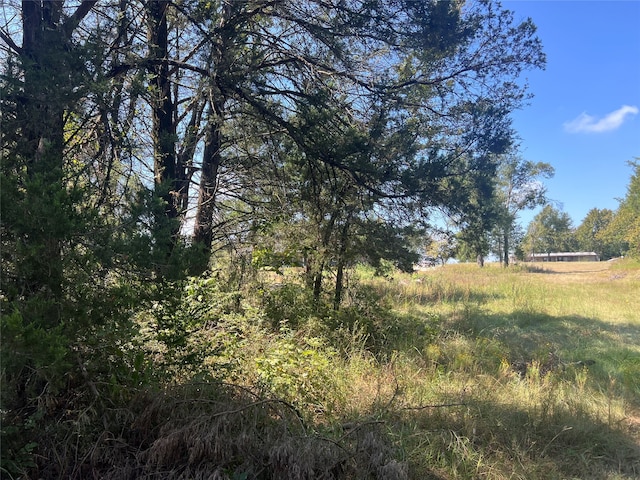 view of local wilderness