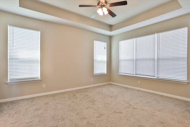 spare room featuring light colored carpet, plenty of natural light, and a raised ceiling