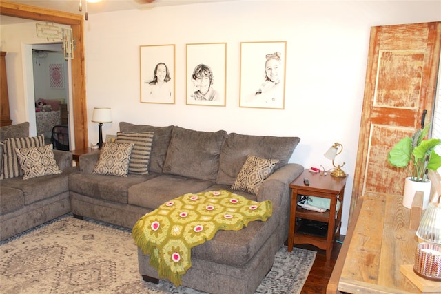 living room featuring hardwood / wood-style floors