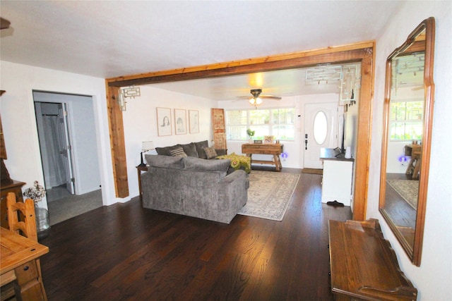 living room with ceiling fan and dark hardwood / wood-style flooring