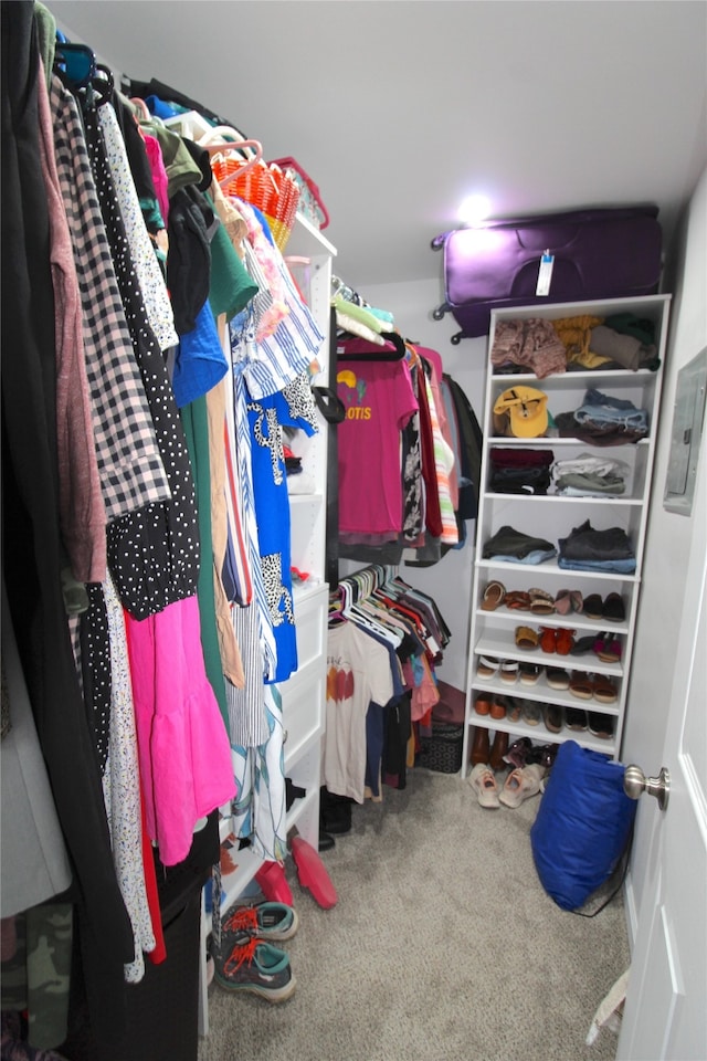 spacious closet with carpet flooring