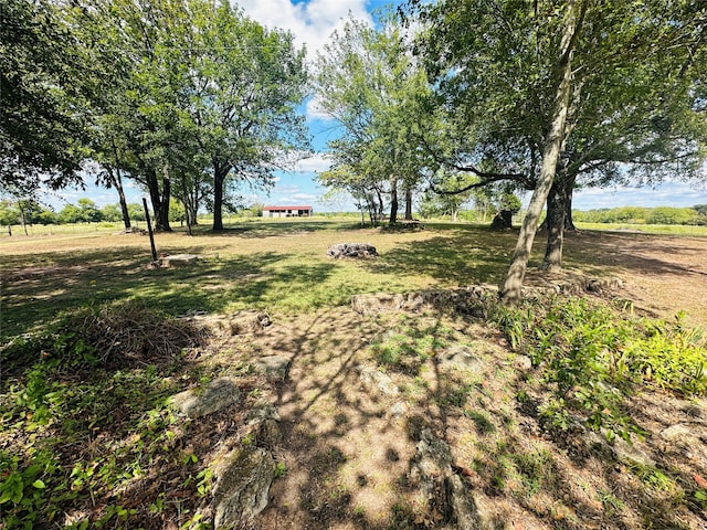 view of yard with a rural view