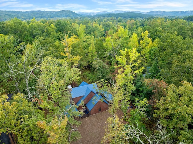 drone / aerial view with a mountain view