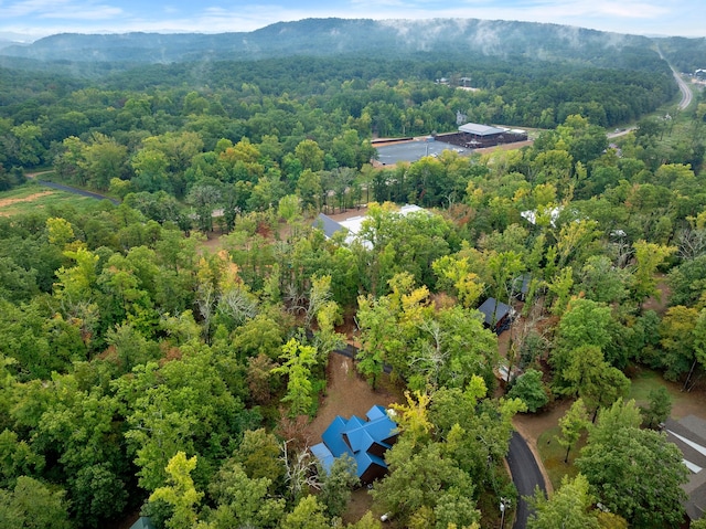 drone / aerial view with a mountain view