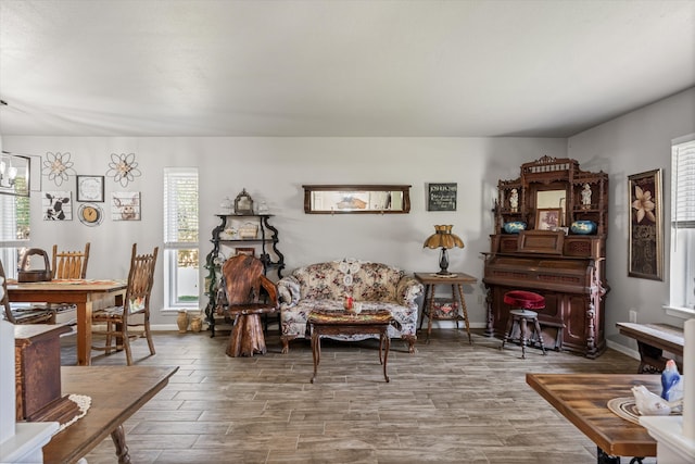 living room with hardwood / wood-style flooring