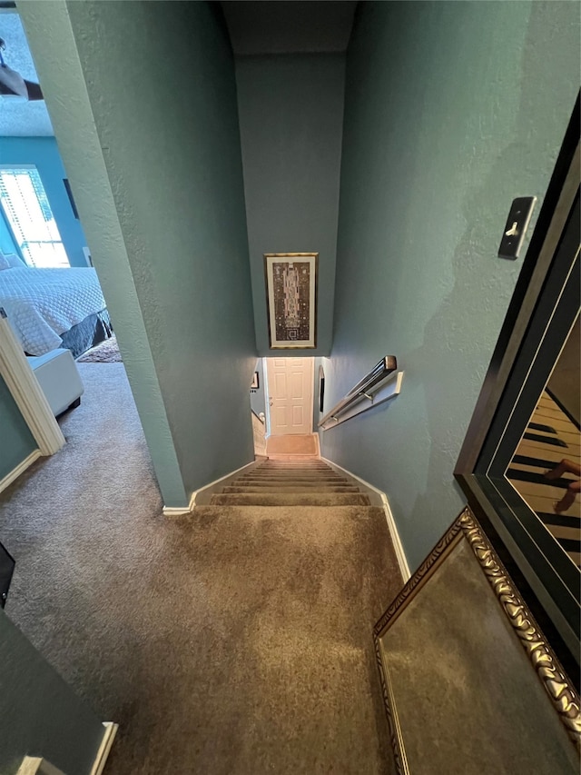 staircase with carpet