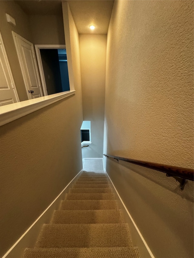 stairs featuring carpet