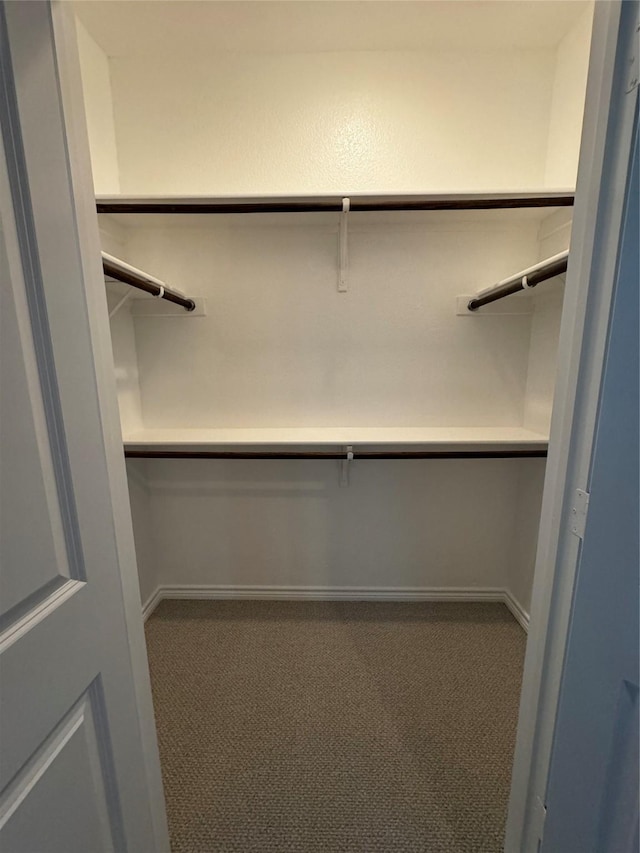 514 Sheer Bliss Ln, Fort Worth, TX 76114 - spacious closet featuring carpet floors