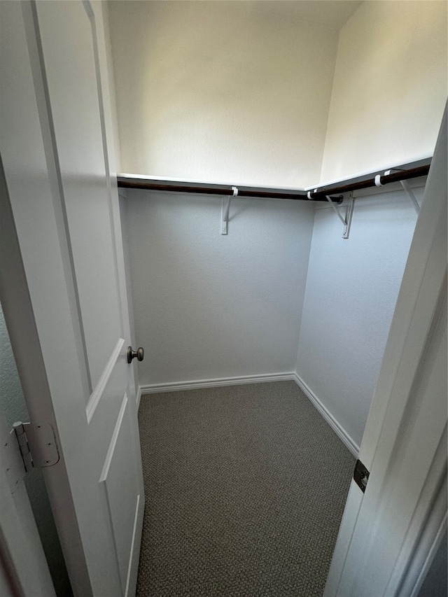 walk in closet featuring carpet floors