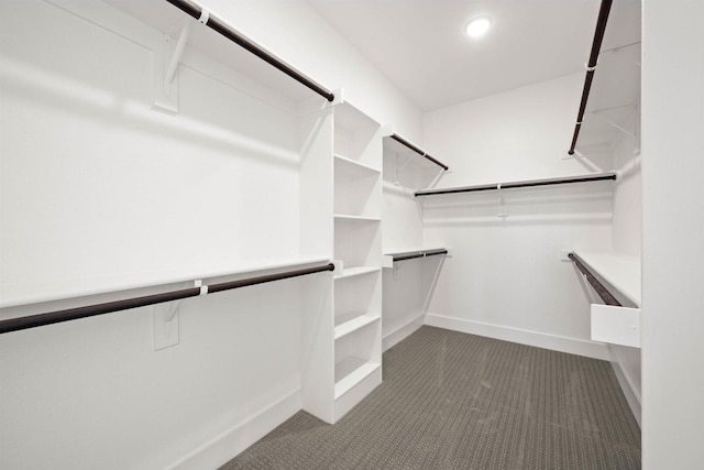 spacious closet with carpet