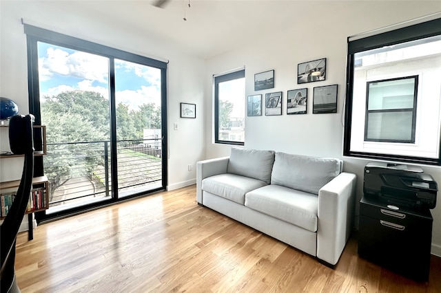 living room featuring ceiling fan and light hardwood / wood-style flooring