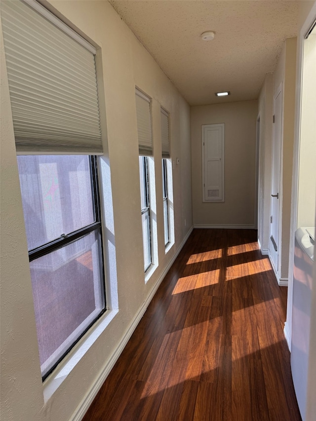 hall with dark hardwood / wood-style flooring