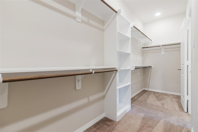 spacious closet featuring light carpet