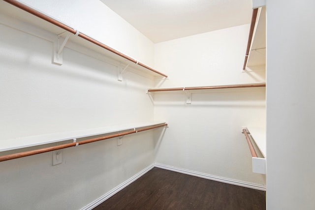 walk in closet with hardwood / wood-style flooring