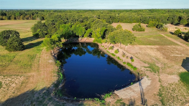 birds eye view of property featuring a rural view and a water view