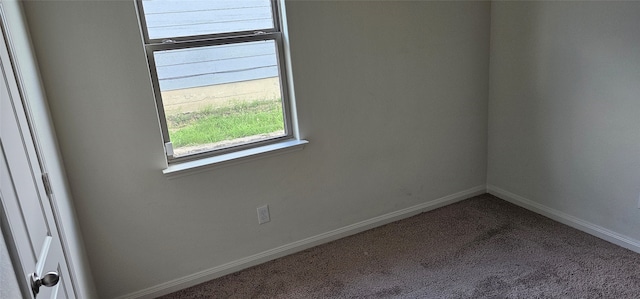 spare room with carpet floors