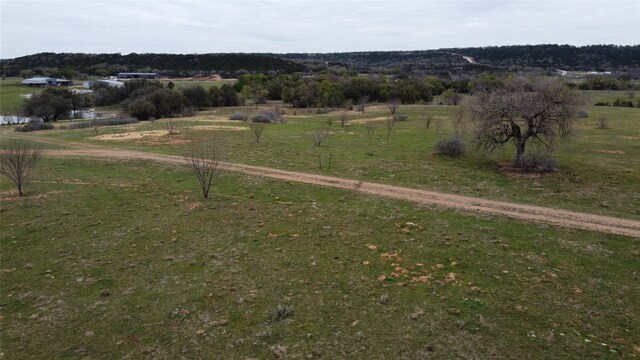 LOT46 Barber Lakes Dr, Mineral Wells, TX 76067
