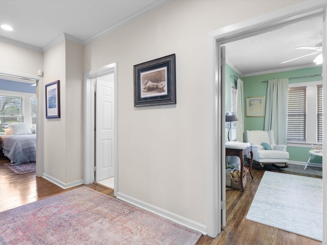 hallway with dark hardwood / wood-style flooring and crown molding