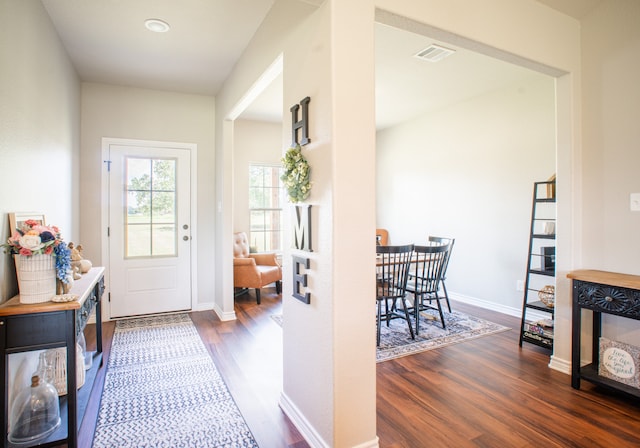 foyer with dark wood-type flooring