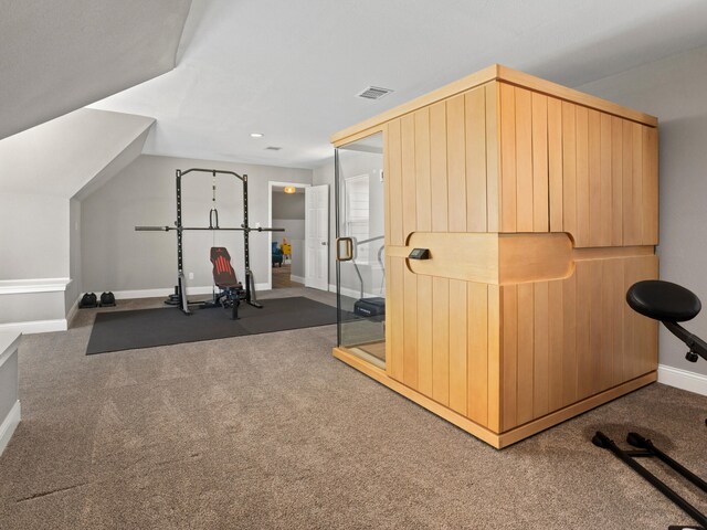 bonus room featuring vaulted ceiling and carpet floors