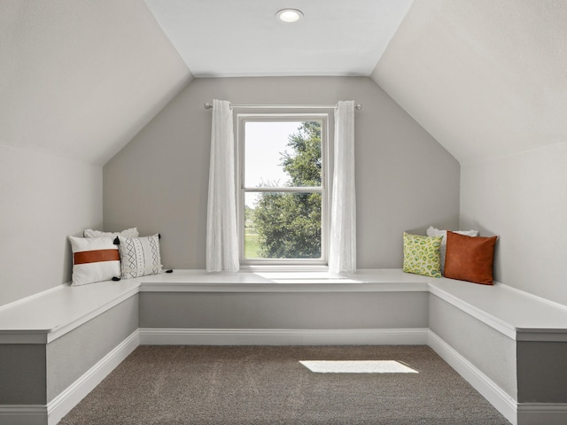 exercise area with lofted ceiling and carpet