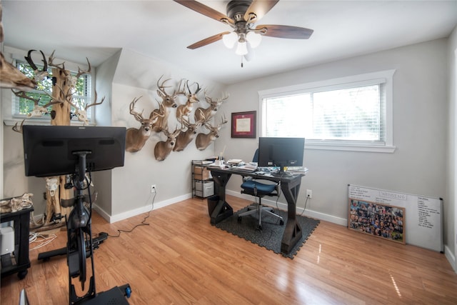 office with ceiling fan and hardwood / wood-style flooring