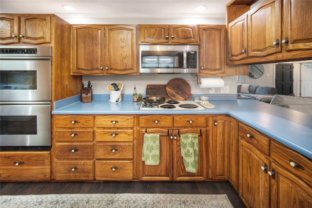 kitchen featuring dark wood-type flooring and stainless steel appliances