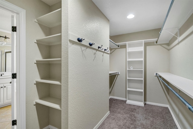 spacious closet with light colored carpet