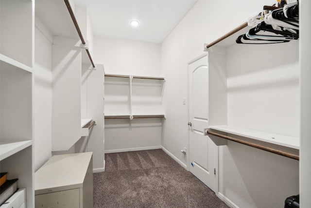 spacious closet with dark colored carpet