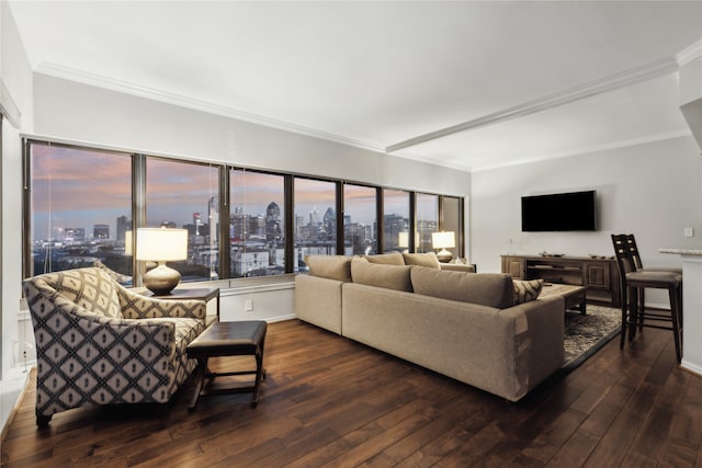 living room featuring ornamental molding and dark hardwood / wood-style flooring