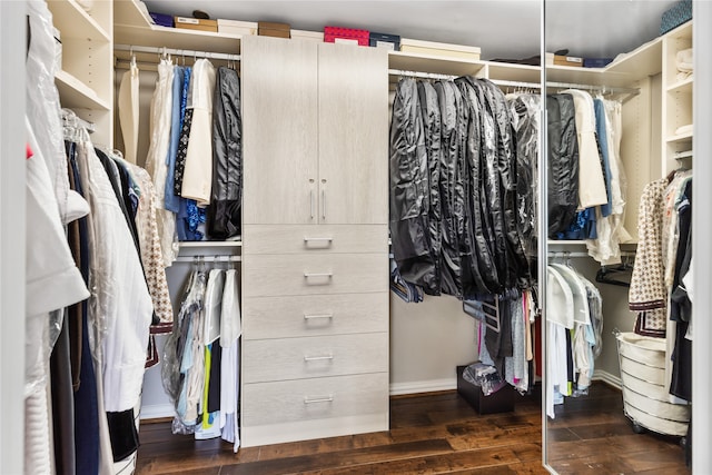 spacious closet featuring dark hardwood / wood-style flooring