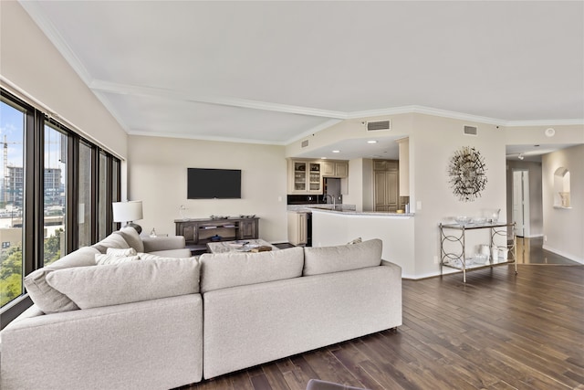 living room featuring crown molding, sink, and dark wood-type flooring