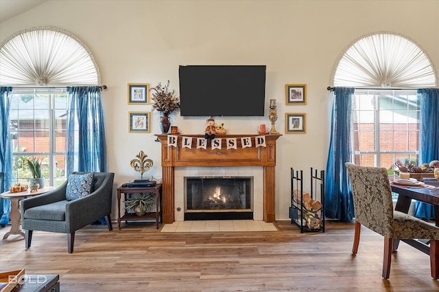 living room with wood-type flooring and a fireplace