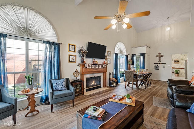 living room with lofted ceiling, wood-type flooring, a wealth of natural light, and ceiling fan