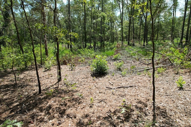 Listing photo 2 for 29.385ACRES SE County Road 3470, Winnsboro TX 75494