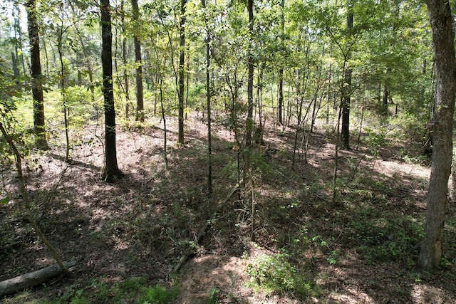 Listing photo 3 for 29.385ACRES SE County Road 3470, Winnsboro TX 75494