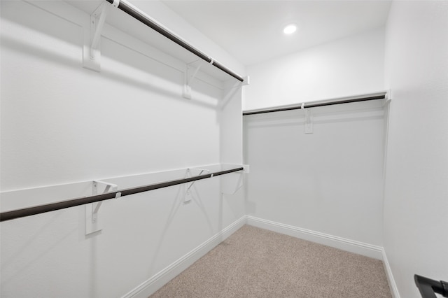 spacious closet featuring carpet flooring