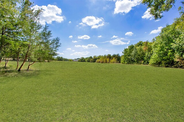 view of yard with a rural view