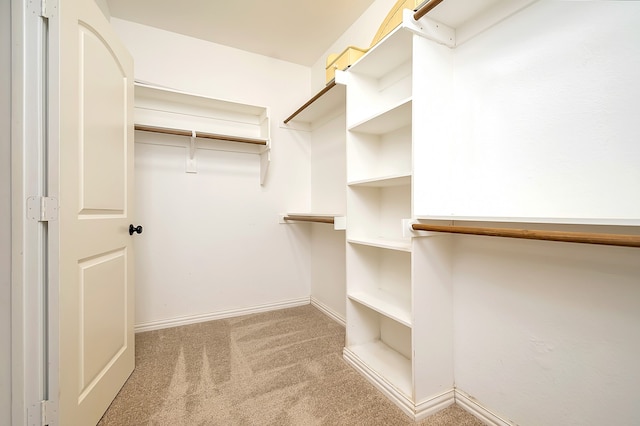 spacious closet with light colored carpet