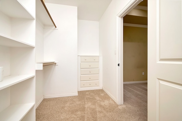 spacious closet with light colored carpet