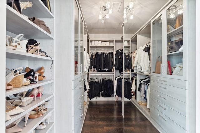 spacious closet with dark wood-type flooring